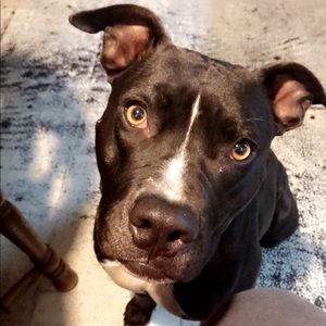 Meet your Posher, Tiffany